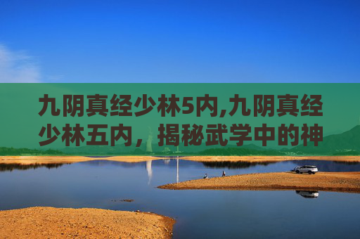 九阴真经少林5内,九阴真经少林五内，揭秘武学中的神秘力量