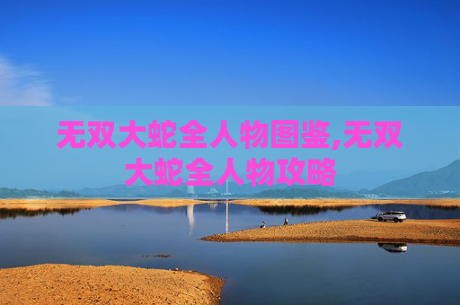 无双大蛇全人物图鉴,无双大蛇全人物攻略