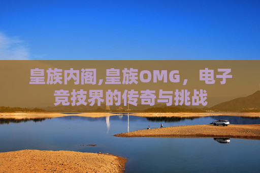 皇族内阁,皇族OMG，电子竞技界的传奇与挑战