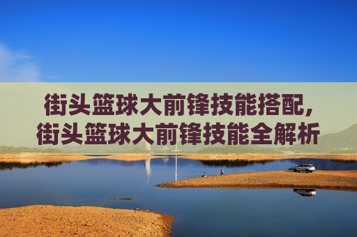 街头篮球大前锋技能搭配,街头篮球大前锋技能全解析