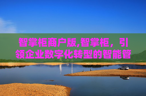 智掌柜商户版,智掌柜，引领企业数字化转型的智能管家