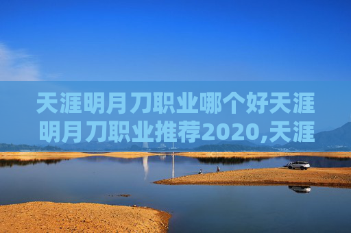 天涯明月刀职业哪个好天涯明月刀职业推荐2020,天涯明月刀职业选择指南，探索各职业的独特魅力与玩法
