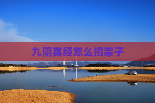九阴真经怎么招架子