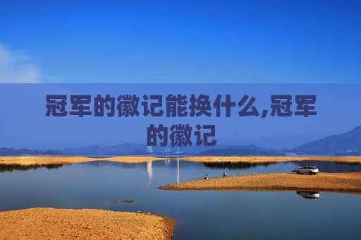 冠军的徽记能换什么,冠军的徽记
