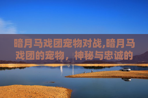 暗月马戏团宠物对战,暗月马戏团的宠物，神秘与忠诚的完美结合