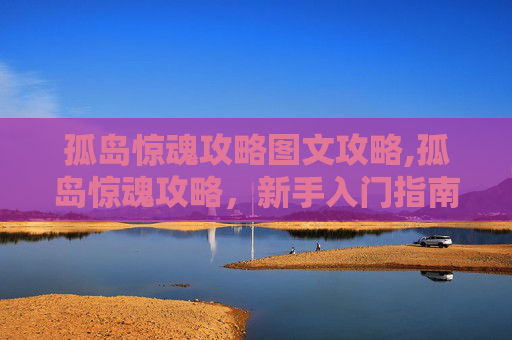 孤岛惊魂攻略图文攻略,孤岛惊魂攻略，新手入门指南