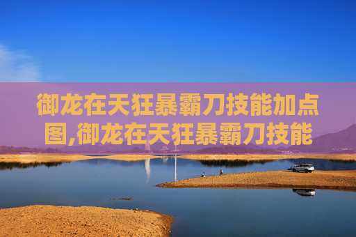 御龙在天狂暴霸刀技能加点图,御龙在天狂暴霸刀技能加点攻略