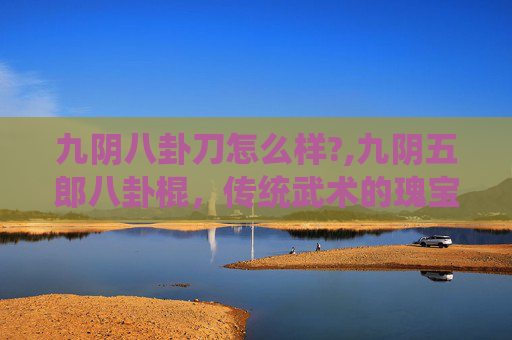 九阴八卦刀怎么样?,九阴五郎八卦棍，传统武术的瑰宝与现代传承