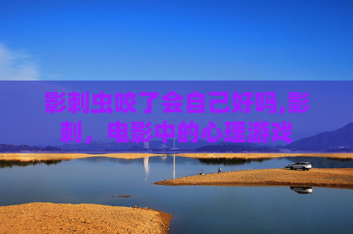影刺虫咬了会自己好吗,影刺，电影中的心理游戏