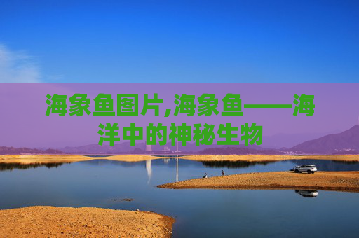 海象鱼图片,海象鱼——海洋中的神秘生物