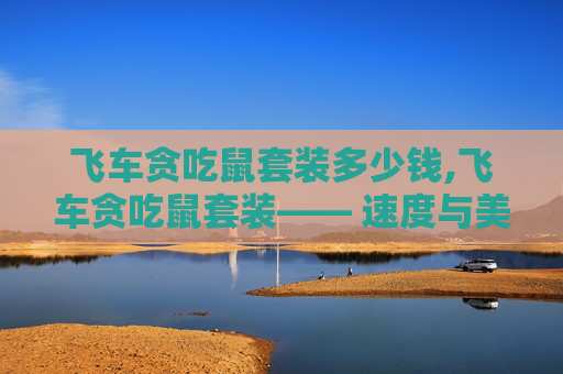 飞车贪吃鼠套装多少钱,飞车贪吃鼠套装—— 速度与美味的完美结合