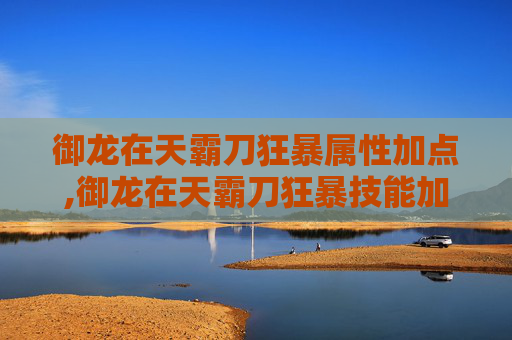 御龙在天霸刀狂暴属性加点,御龙在天霸刀狂暴技能加点指南