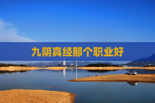 九阴真经那个职业好