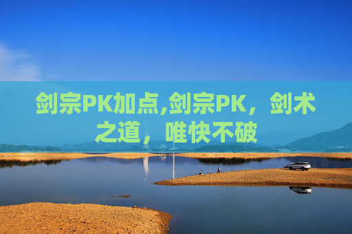 剑宗PK加点,剑宗PK，剑术之道，唯快不破