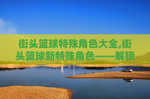 街头篮球特殊角色大全,街头篮球新特殊角色——解锁你的篮球梦想