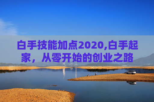 白手技能加点2020,白手起家，从零开始的创业之路