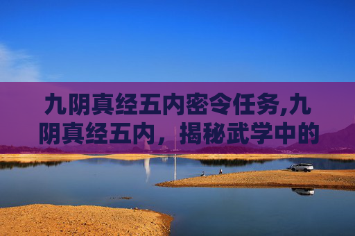 九阴真经五内密令任务,九阴真经五内，揭秘武学中的神秘力量