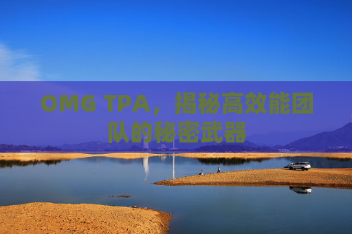 OMG TPA,揭秘高效能团队的秘密武器