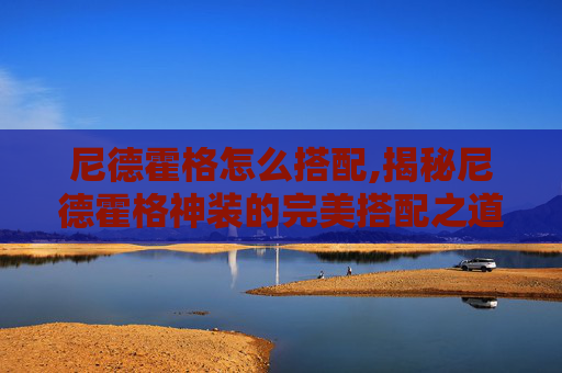尼德霍格怎么搭配,揭秘尼德霍格神装的完美搭配之道
