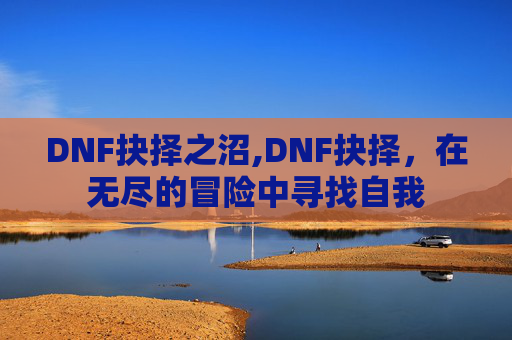 DNF抉择之沼,DNF抉择，在无尽的冒险中寻找自我