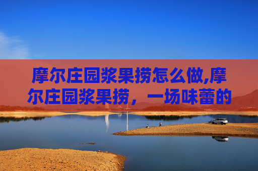 摩尔庄园浆果捞怎么做,摩尔庄园浆果捞，一场味蕾的奇幻之旅