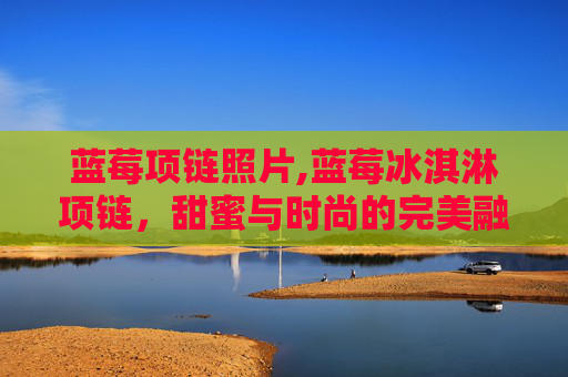 蓝莓项链照片,蓝莓冰淇淋项链，甜蜜与时尚的完美融合