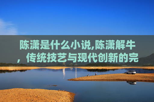 陈潇是什么小说,陈潇解牛，传统技艺与现代创新的完美融合
