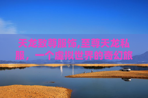 天龙致尊服饰,至尊天龙私服，一个虚拟世界的奇幻旅程