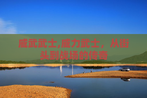 威武武士,威力武士，从街头到战场的传奇