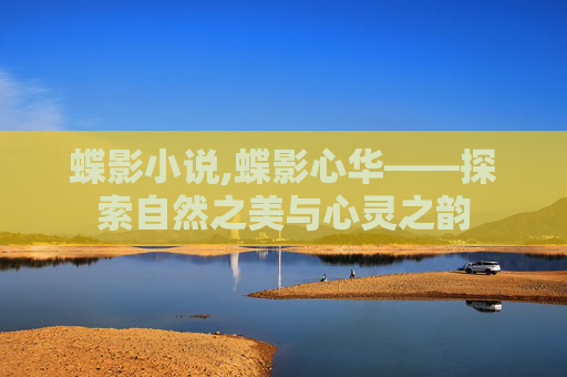 蝶影小说,蝶影心华——探索自然之美与心灵之韵