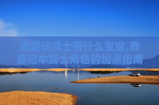 鹿鼎记贤士带什么宝宝,鹿鼎记中贤士角色的加点指南