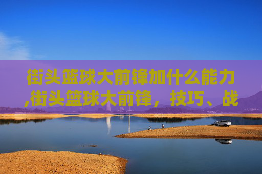 街头篮球大前锋加什么能力,街头篮球大前锋，技巧、战术与实战解析