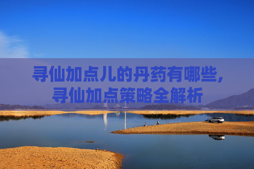 寻仙加点儿的丹药有哪些,寻仙加点策略全解析