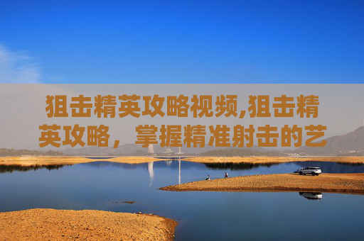 狙击精英攻略视频,狙击精英攻略，掌握精准射击的艺术