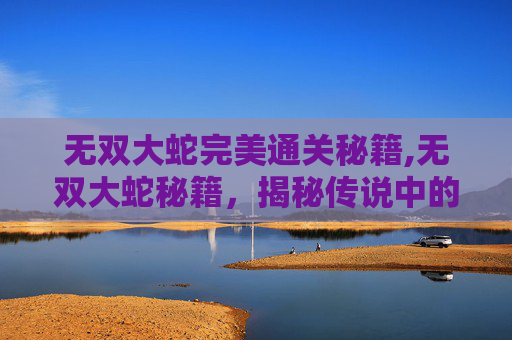 无双大蛇完美通关秘籍,无双大蛇秘籍，揭秘传说中的游戏技巧与策略