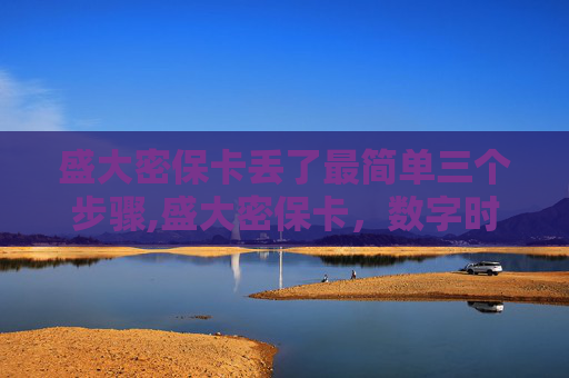 盛大密保卡丢了最简单三个步骤,盛大密保卡，数字时代的安全守护者