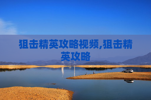 狙击精英攻略视频,狙击精英攻略