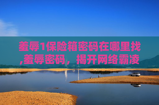 羞辱1保险箱密码在哪里找,羞辱密码，揭开网络霸凌的面纱