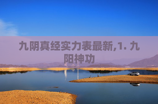 九阴真经实力表最新,1. 九阳神功