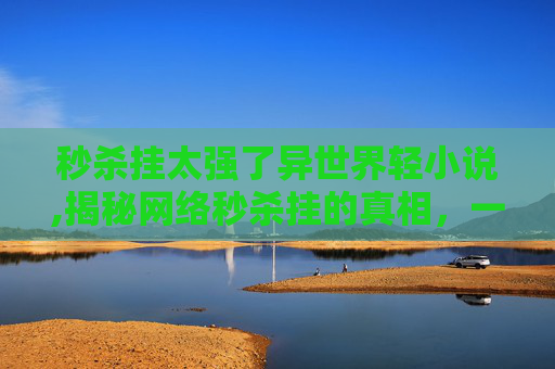 秒杀挂太强了异世界轻小说,揭秘网络秒杀挂的真相，一场关于技术与道德的较量
