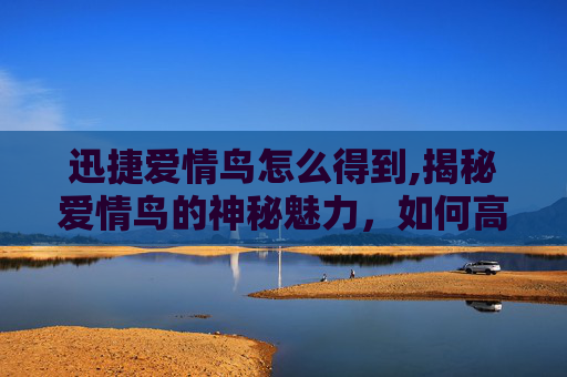 迅捷爱情鸟怎么得到,揭秘爱情鸟的神秘魅力，如何高效地培养和提升你的迅捷爱情鸟