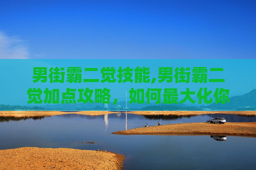 男街霸二觉技能,男街霸二觉加点攻略，如何最大化你的战斗力