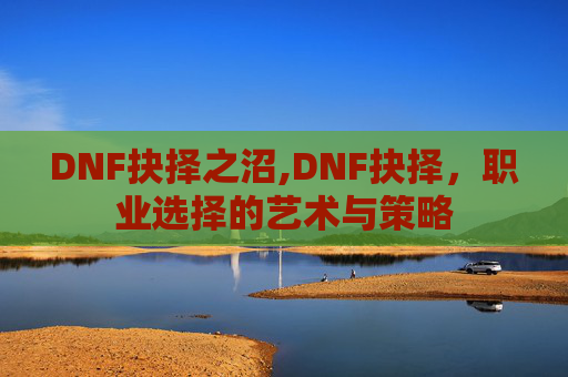 DNF抉择之沼,DNF抉择，职业选择的艺术与策略