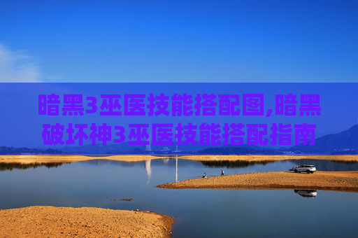暗黑3巫医技能搭配图,暗黑破坏神3巫医技能搭配指南