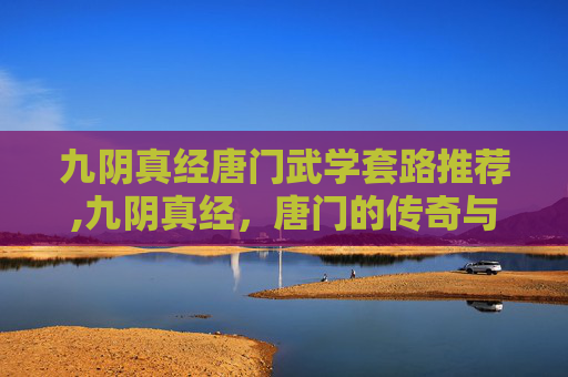 九阴真经唐门武学套路推荐,九阴真经，唐门的传奇与传承