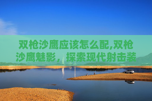 双枪沙鹰应该怎么配,双枪沙鹰魅影，探索现代射击装备的魅力与挑战