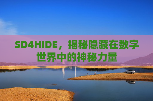 SD4HIDE,揭秘隐藏在数字世界中的神秘力量