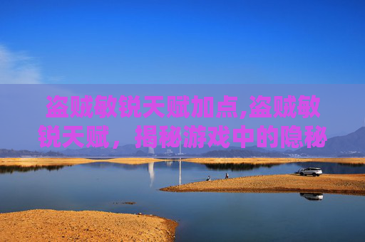 盗贼敏锐天赋加点,盗贼敏锐天赋，揭秘游戏中的隐秘力量
