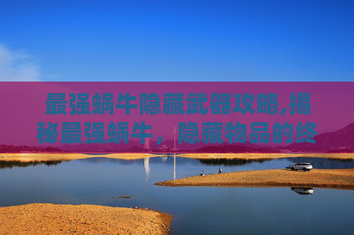 最强蜗牛隐藏武器攻略,揭秘最强蜗牛,隐藏物品的终极攻略