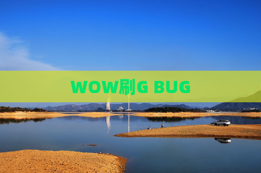 WOW刷G BUG WOW刷G BUG